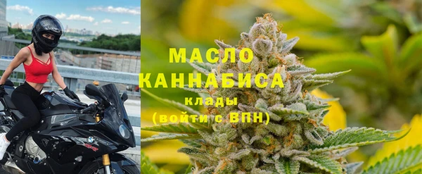 шишки Приозерск